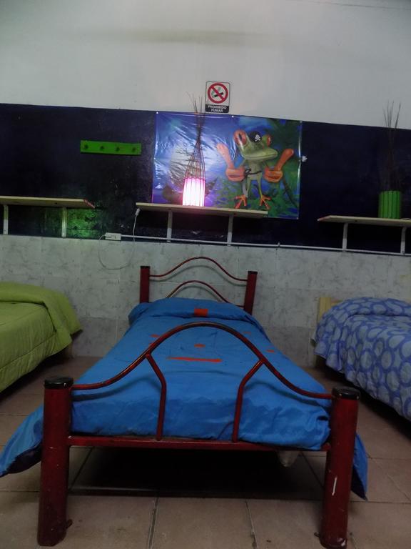 Hospedaje La Rana Buenos Aires Ngoại thất bức ảnh
